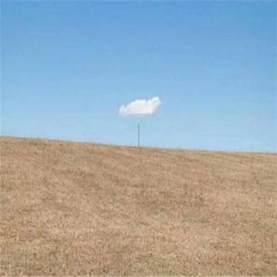 今天买什么特马下载手机版